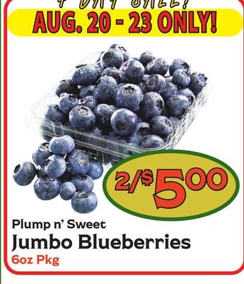 Plump n' Sweet Jumbo Blueberries