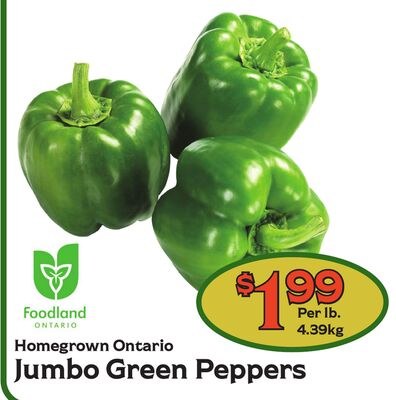 Homegrown Ontario Jumbo Green Peppers