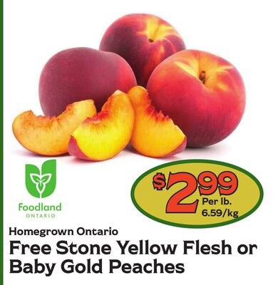 Homegrown Ontario Free Stone Yellow Flesh or Ba…