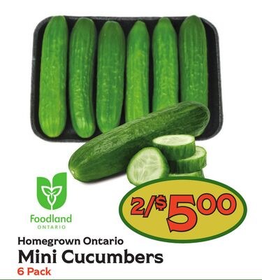 Homegrown Ontario Mini Cucumbers