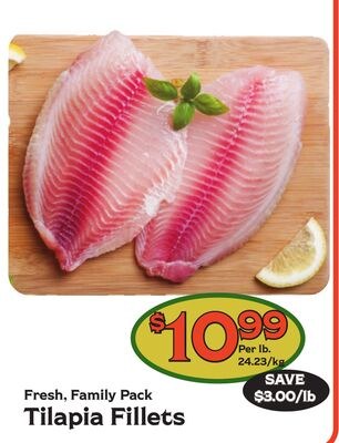 Tilapia Fillets