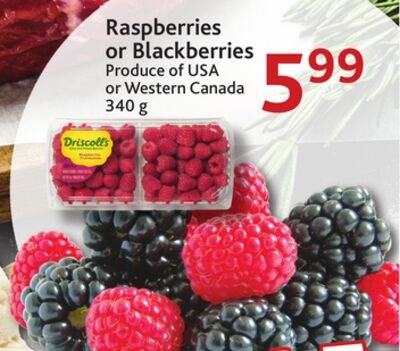 Raspberries or Blackberries