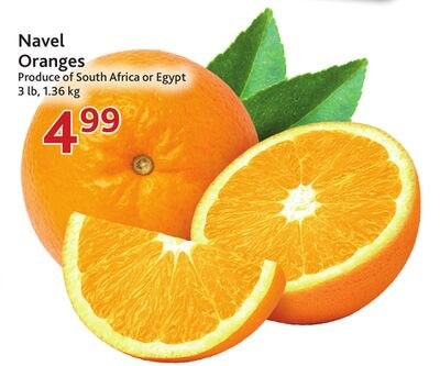 Navel Oranges