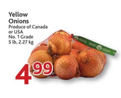 Yellow Onions