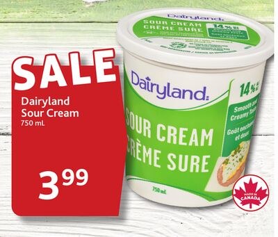 Dairyland Sour Cream