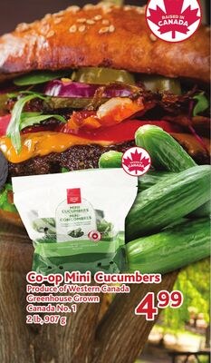 Co-op Mini Cucumbers