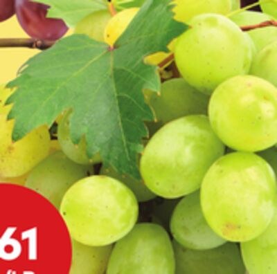 green seedless grapes