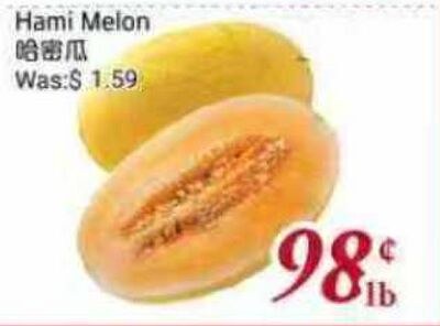 Hami Melon