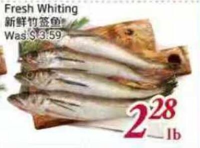 Fresh Whiting