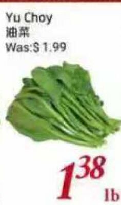 Yu Choy