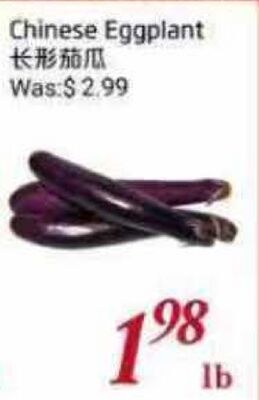 Chinese Eggplant