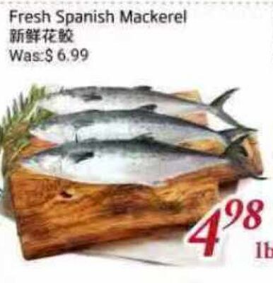 Fresh Spanish Mackerel