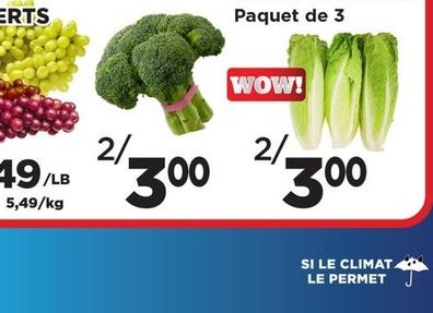 Melon d'eau