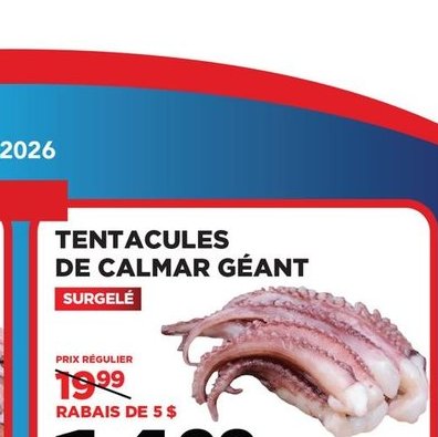 Tentacules de calmar géant