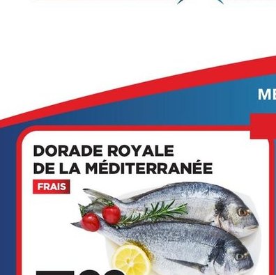 Dorade Royale de la Méditerranée