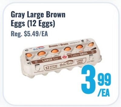 Gray Large Brown Eggs (12 Eggs)