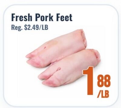 Fresh Pork Feet