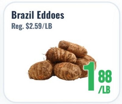 Brazil Eddoes