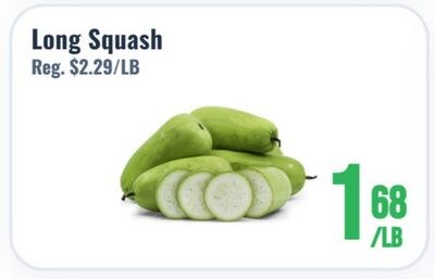 Long Squash