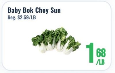 Baby Bok Choy Sun