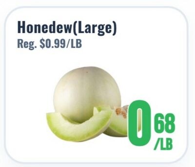 Honedew (Large)