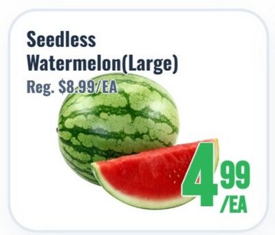 Seedless Watermelon(Large)