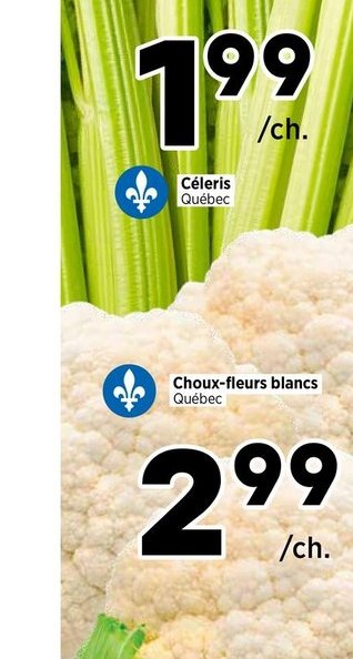 Céleri