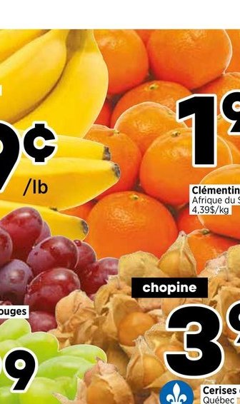 Clémentines