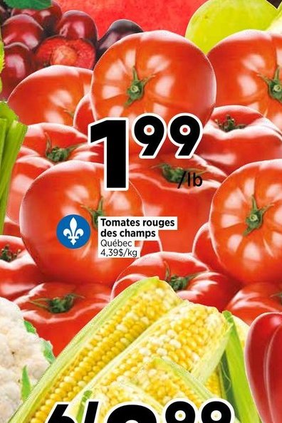 Tomates rouges des champs
