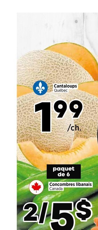 Cantaloup Québec
