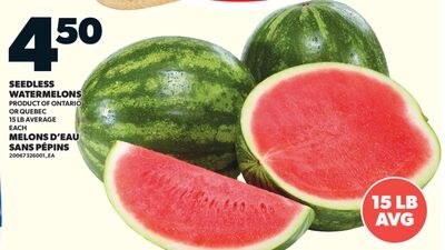 MELONS D'EAU SANS PÉPINS, 15 LB