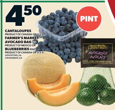CANTALOUPES, FARMER'S MARKET AVOCADO BAG, 5'S O…