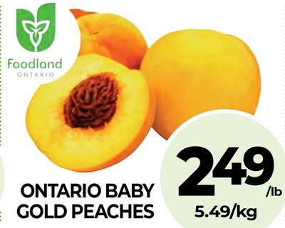 ONTARIO BABY GOLD PEACHES
