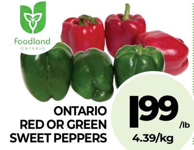 ONTARIO RED OR GREEN SWEET PEPPERS