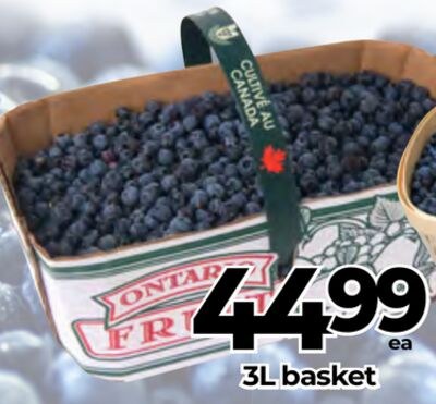 BLUEBERRY