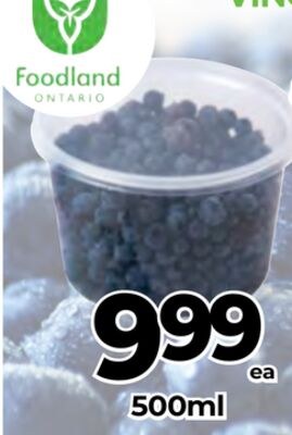 BLUEBERRY