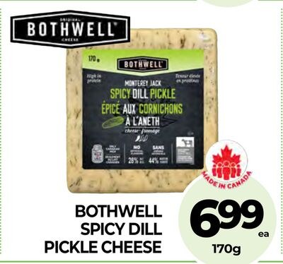 BOTHWELL SPICY DILL PICKLE CHEESE