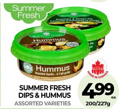 SUMMER FRESH DIPS & HUMMUS