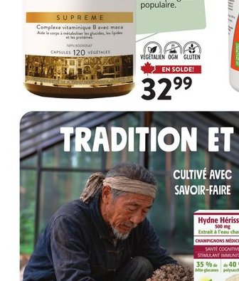 Hydne Hérisson New Roots Herbal