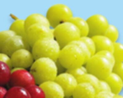 Raisins rouges ou verts sans pépins