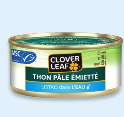 Thon Clover Leaf