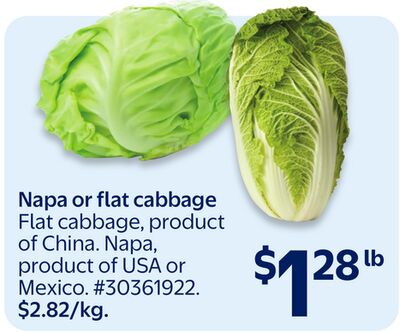 Napa or flat cabbage