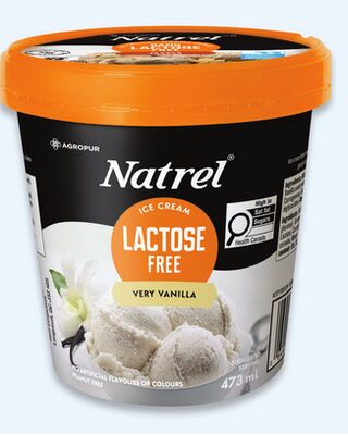 Natrel lactose free ice cream