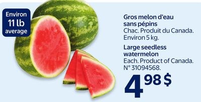 Gros melon d'eau sans pépins