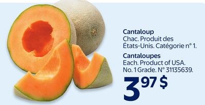 Cantaloup