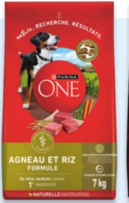 Nourriture seche Purina ONE pour chiens