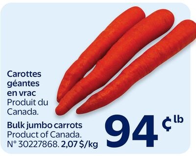 Carottes géantes en vrac