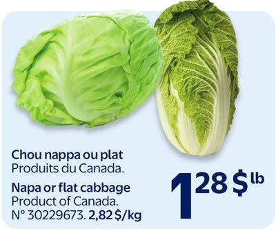 Chou nappa ou plat