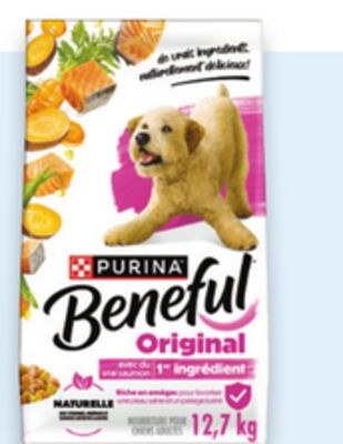 Nourriture sèche Beneful Original pour chiens