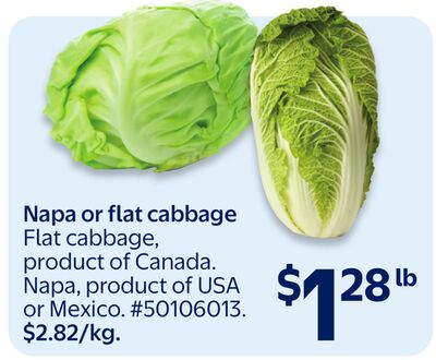Napa or flat cabbage